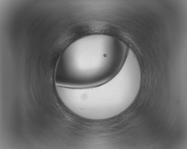 X0000067890505200604131332