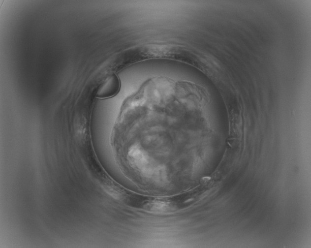 X0000067890507200604131332