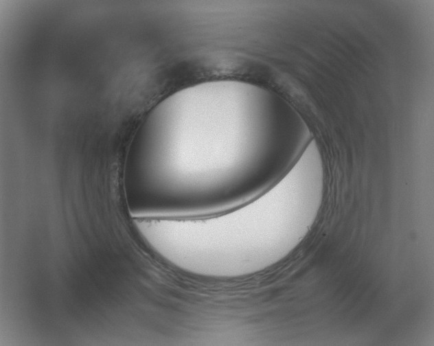 X0000067890509200604131332