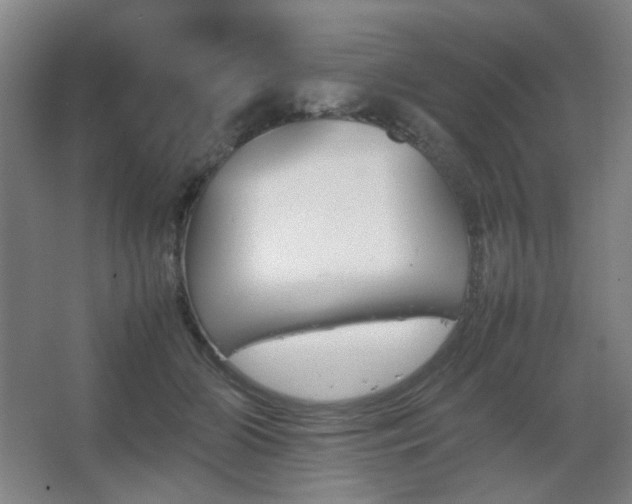 X0000067890510200604131332