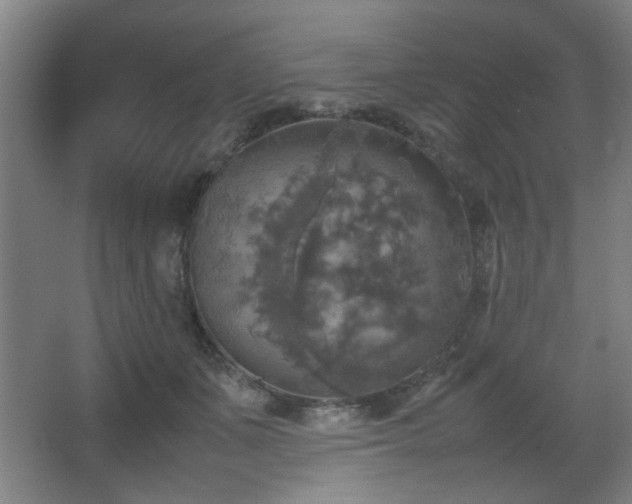 X0000067890511200604131332