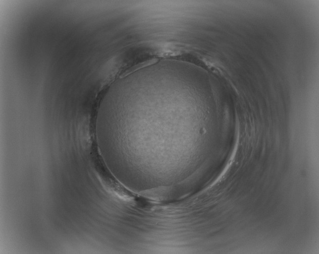 X0000067890512200604131332