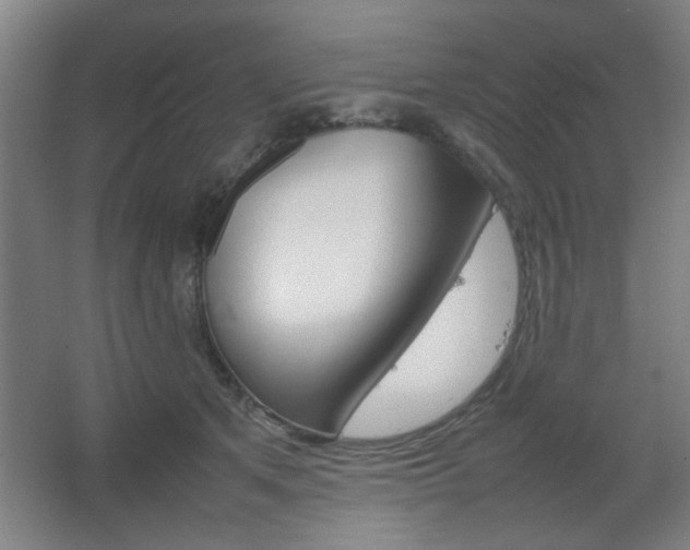 X0000067890513200604131332