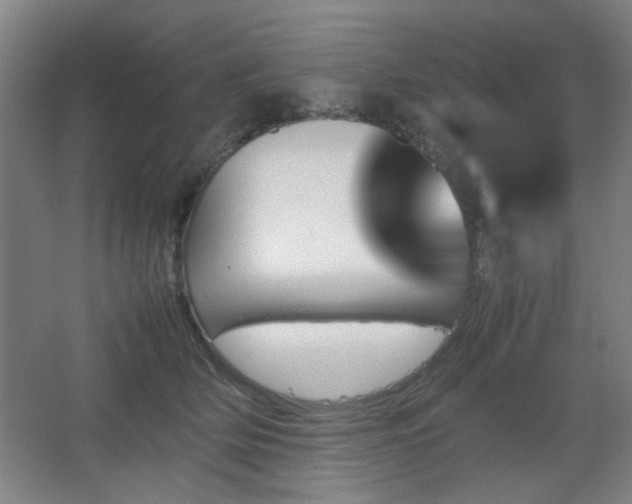 X0000067890514200604131332