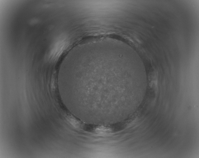 X0000067890515200604131332