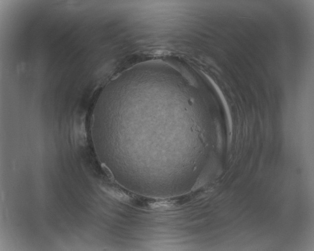 X0000067890516200604131332