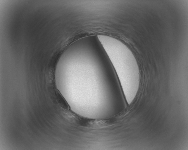 X0000067890517200604131332