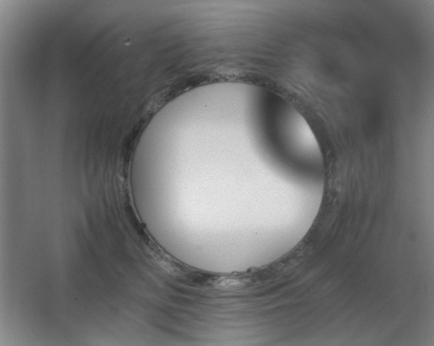 X0000067890518200604131332