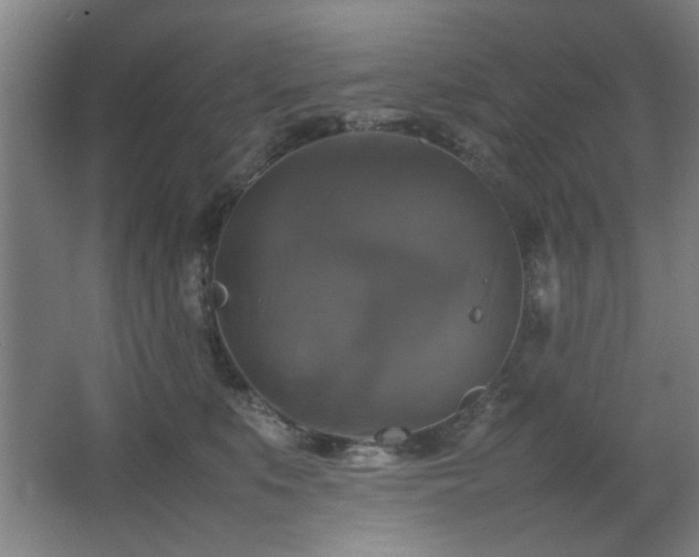 X0000067890519200604131332