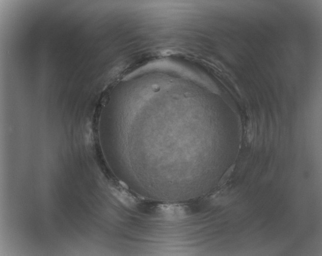 X0000067890520200604131332