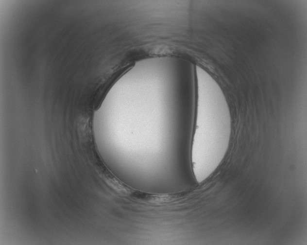 X0000067890521200604131332