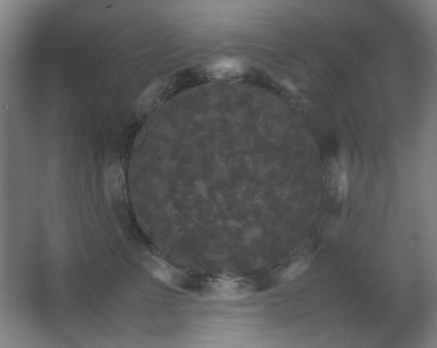 X0000067890523200604131332