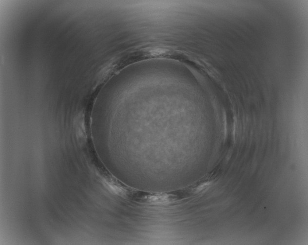 X0000067890524200604131332