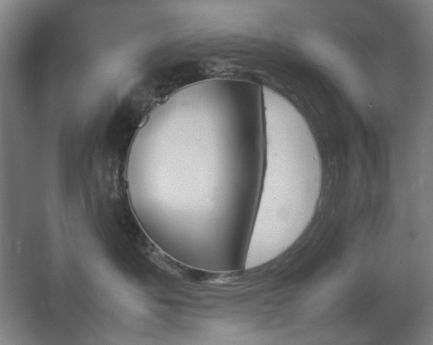 X0000067890525200604131331