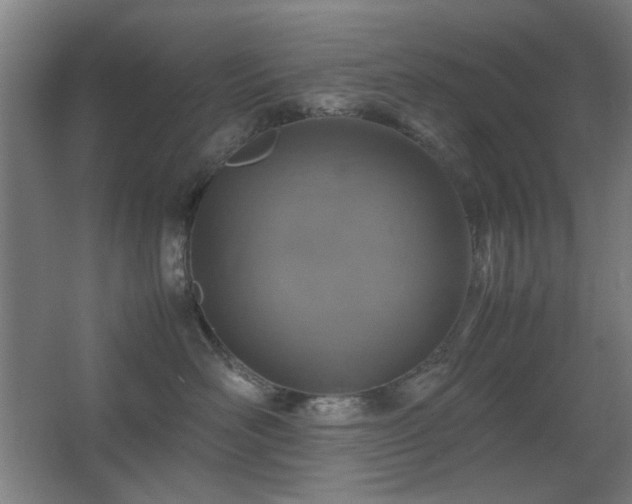 X0000067890526200604131331