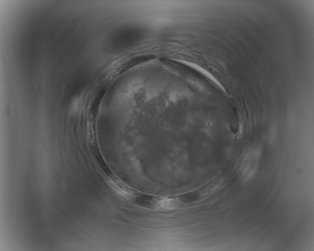 X0000067890527200604131331