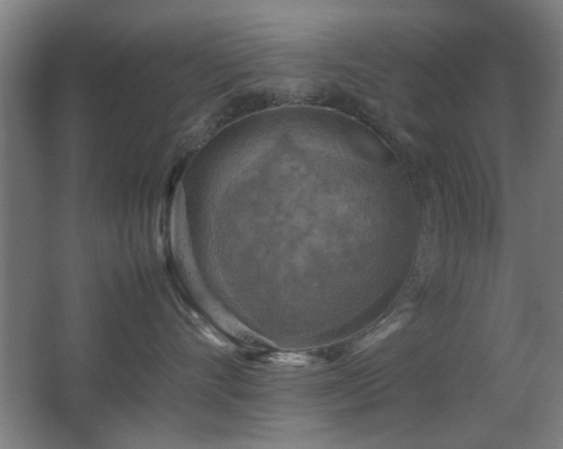 X0000067890528200604131331