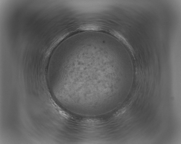 X0000067890529200604131331