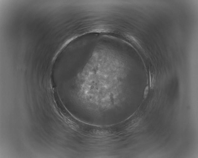 X0000067890531200604131331