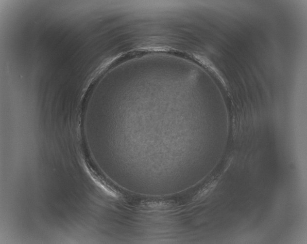 X0000067890533200604131331