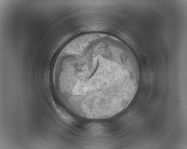 X0000067890534200604131331