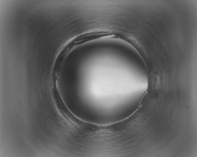 X0000067890536200604131331