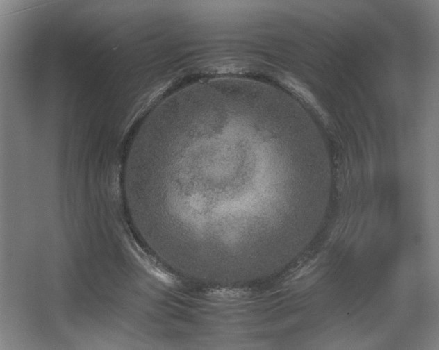 X0000067890537200604131331