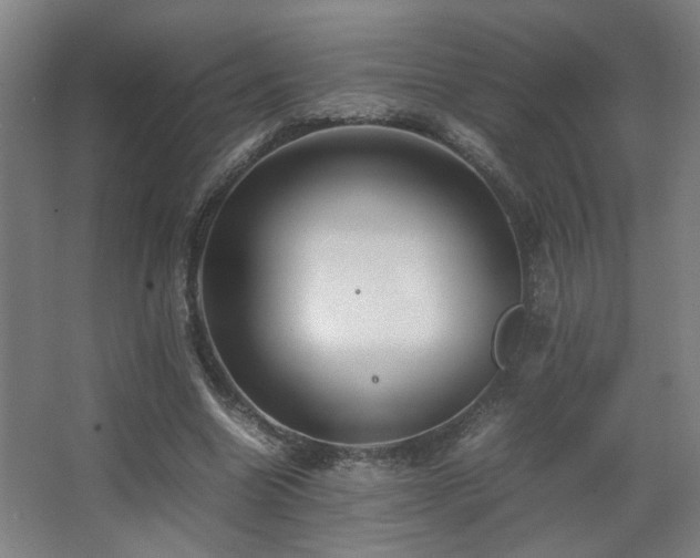 X0000067890538200604131331