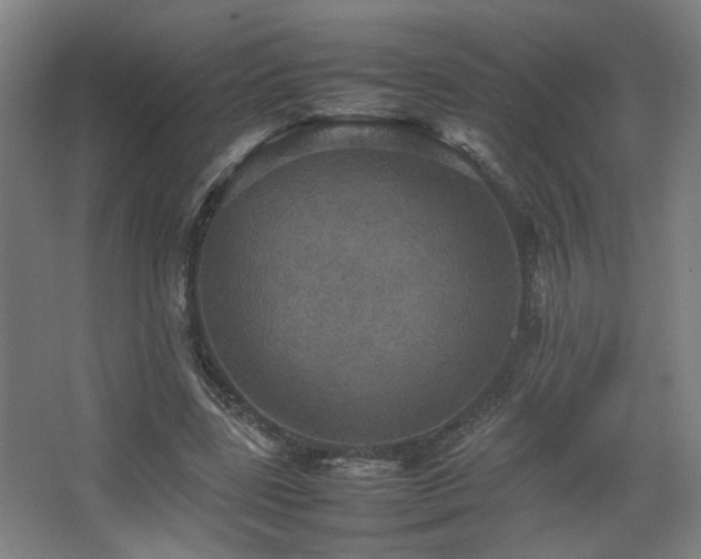 X0000067890539200604131331