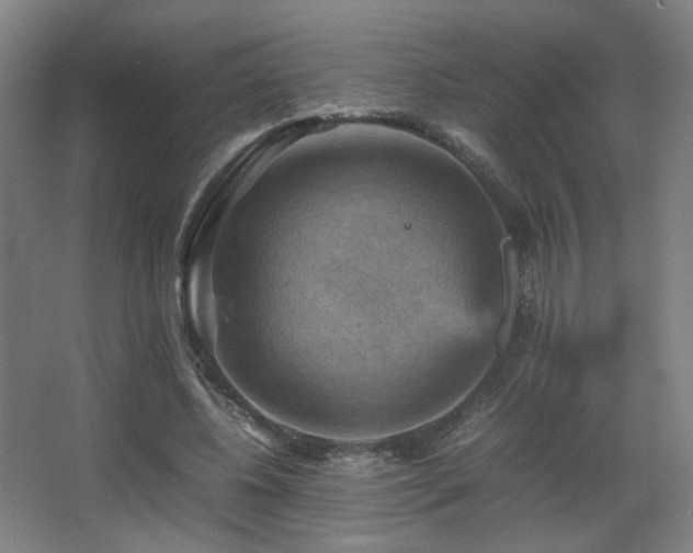 X0000067890540200604131331