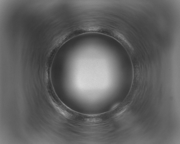 X0000067890541200604131331