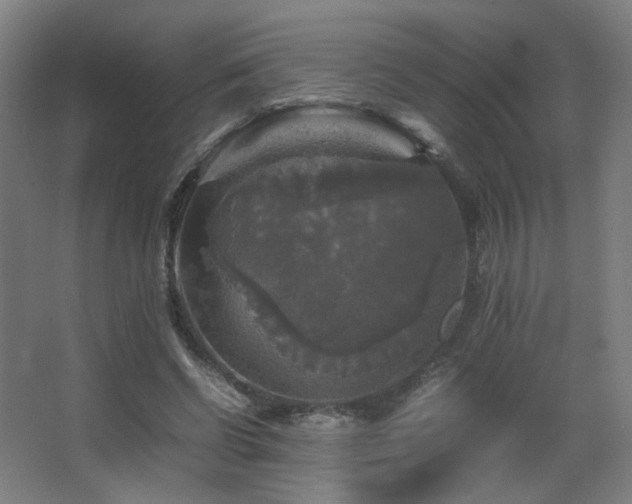 X0000067890542200604131331