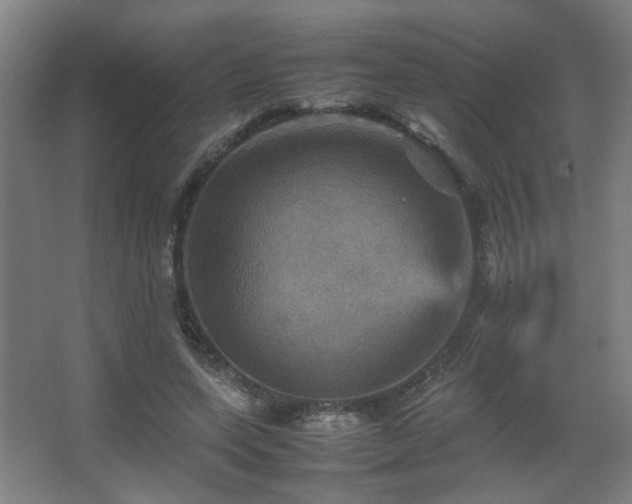 X0000067890543200604131331