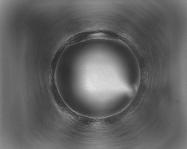 X0000067890544200604131331