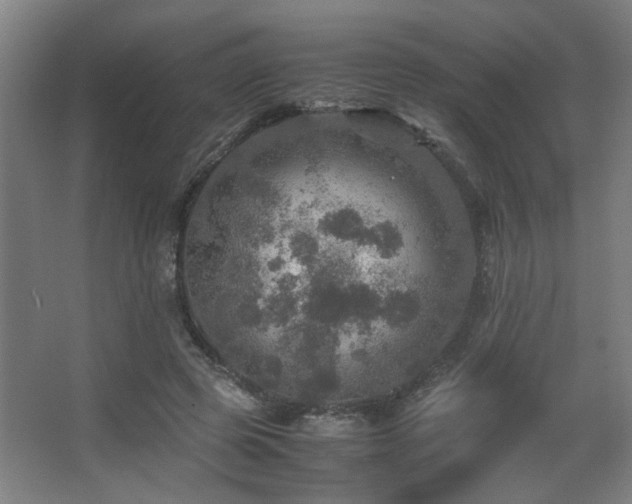 X0000067890545200604131331