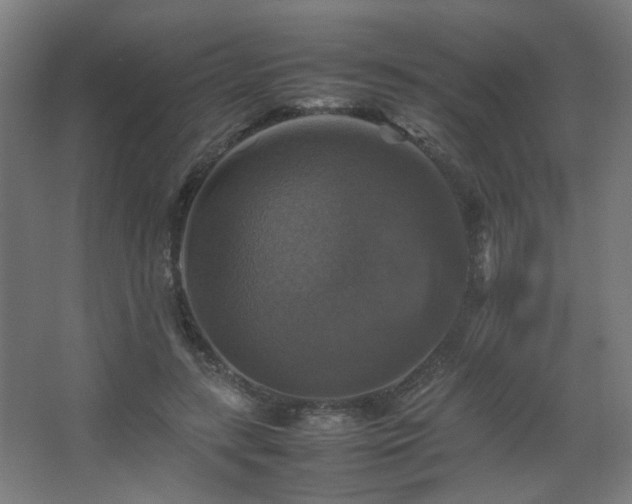 X0000067890547200604131331