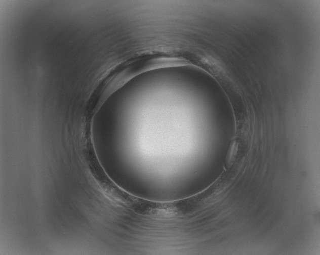 X0000067890548200604131331