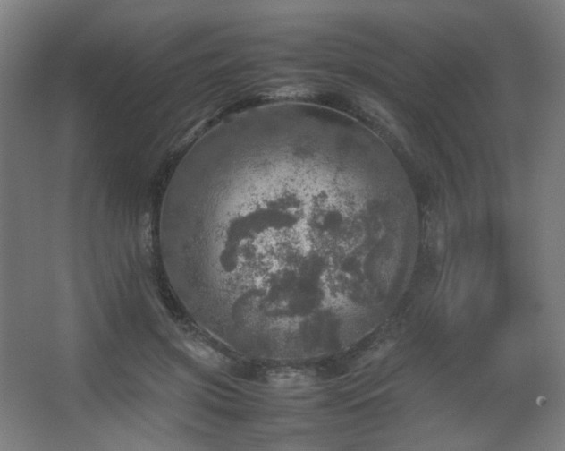 X0000067890549200604131331