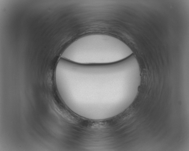 X0000067890550200604131331