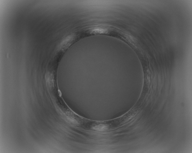 X0000067890551200604131331