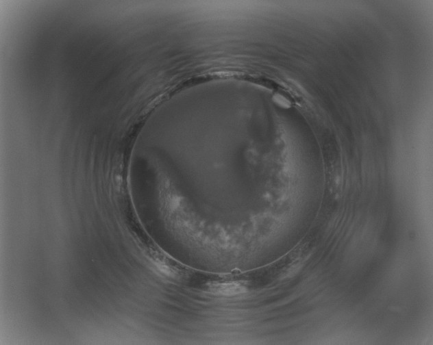 X0000067890553200604131331