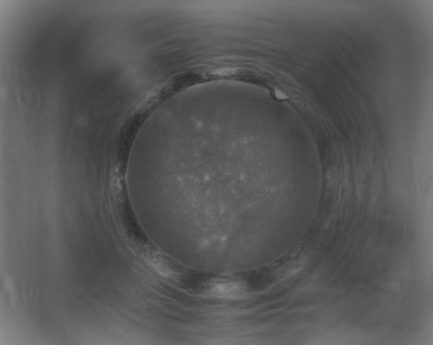 X0000067890555200604131331