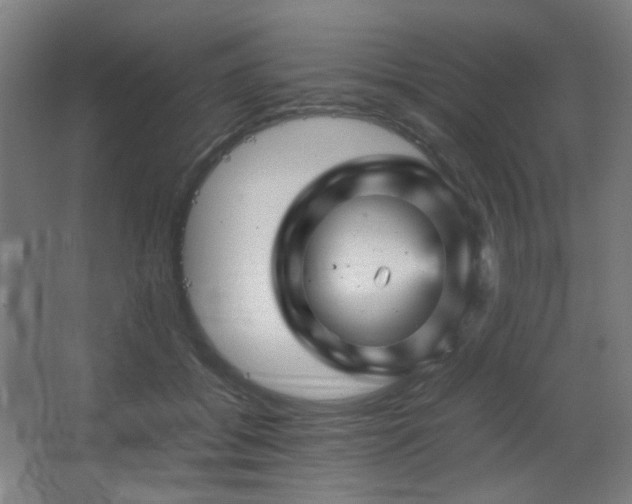 X0000067890556200604131331