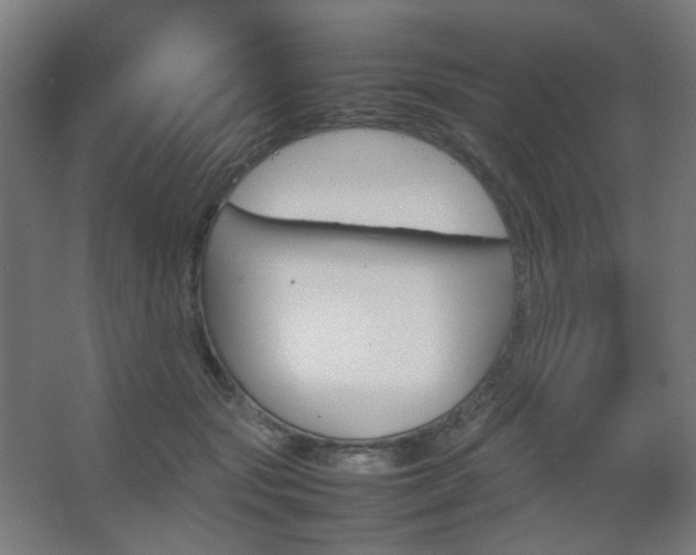 X0000067890557200604131331