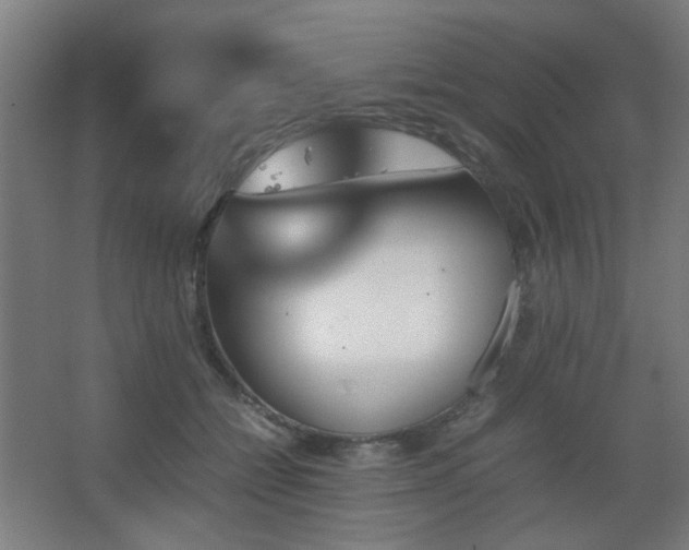 X0000067890558200604131331