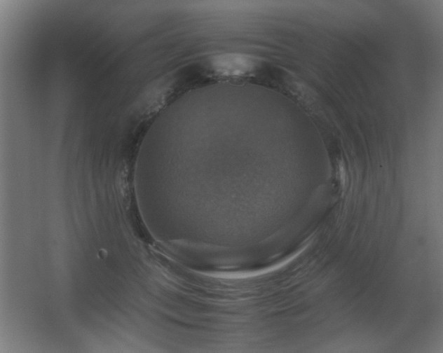 X0000067890559200604131331