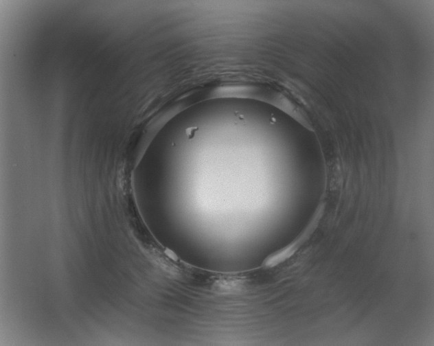 X0000067890560200604131331