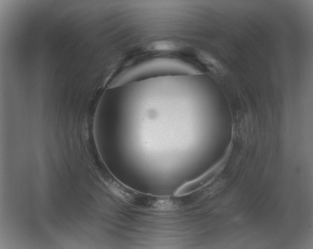 X0000067890562200604131331