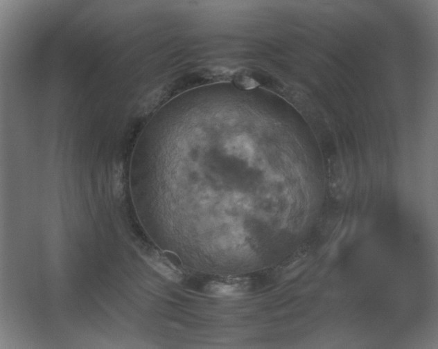 X0000067890563200604131331