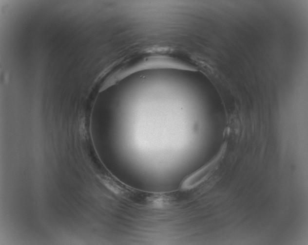 X0000067890564200604131331